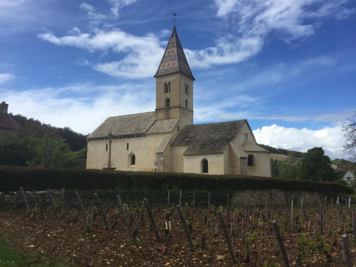 Les Hauts De Fixin, 50M2 Avec Exterieur Sur La Route Des Grands Crus, Dijon Sud 외부 사진