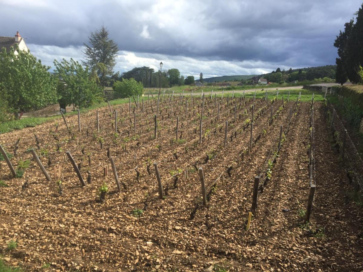 Les Hauts De Fixin, 50M2 Avec Exterieur Sur La Route Des Grands Crus, Dijon Sud 외부 사진